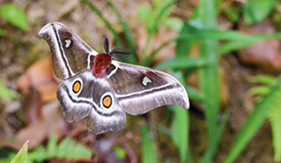 Slideshow Image 1